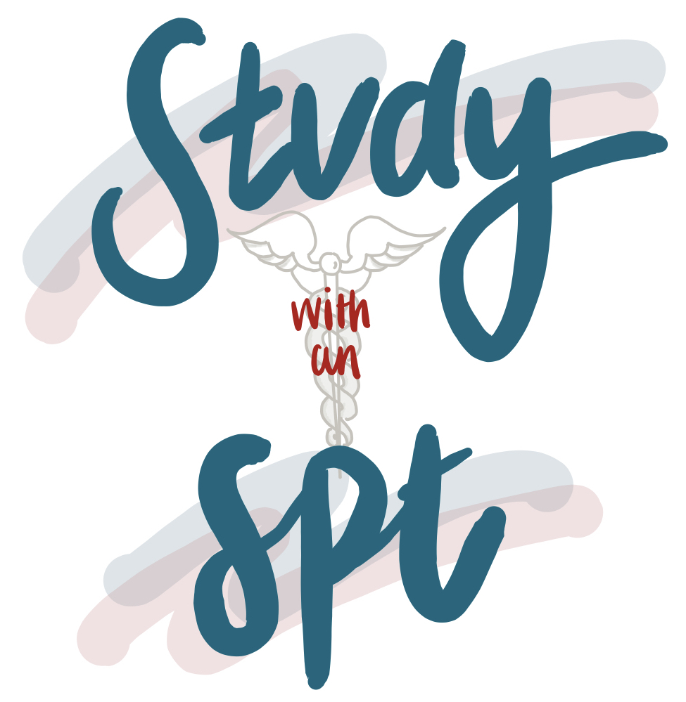 Preview image published by studywithanspt.com